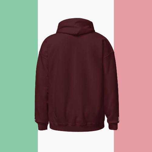 🌐 QR Hoodie - Capitals of The World (Rome) Wearing Memory